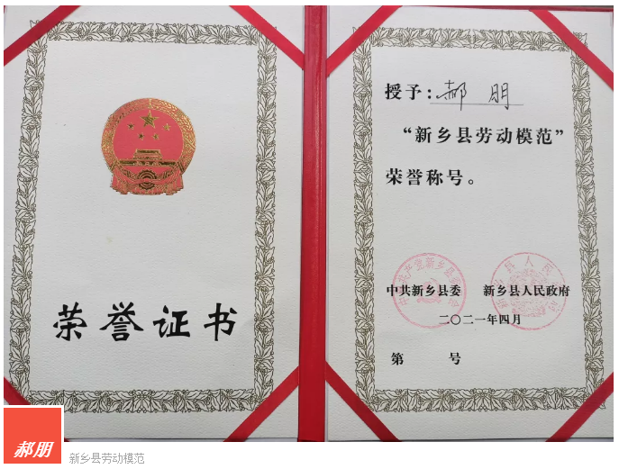 不朽情缘-官方网站